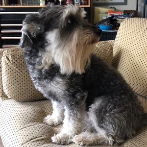 Meet your Posher, Jeff